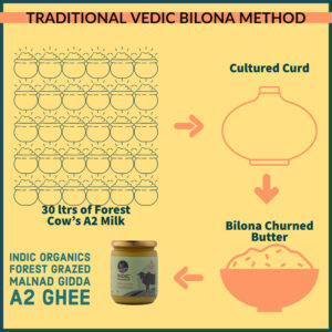 Indic Organics Ghritam Vedic Malnad Gidda A2 Ghee